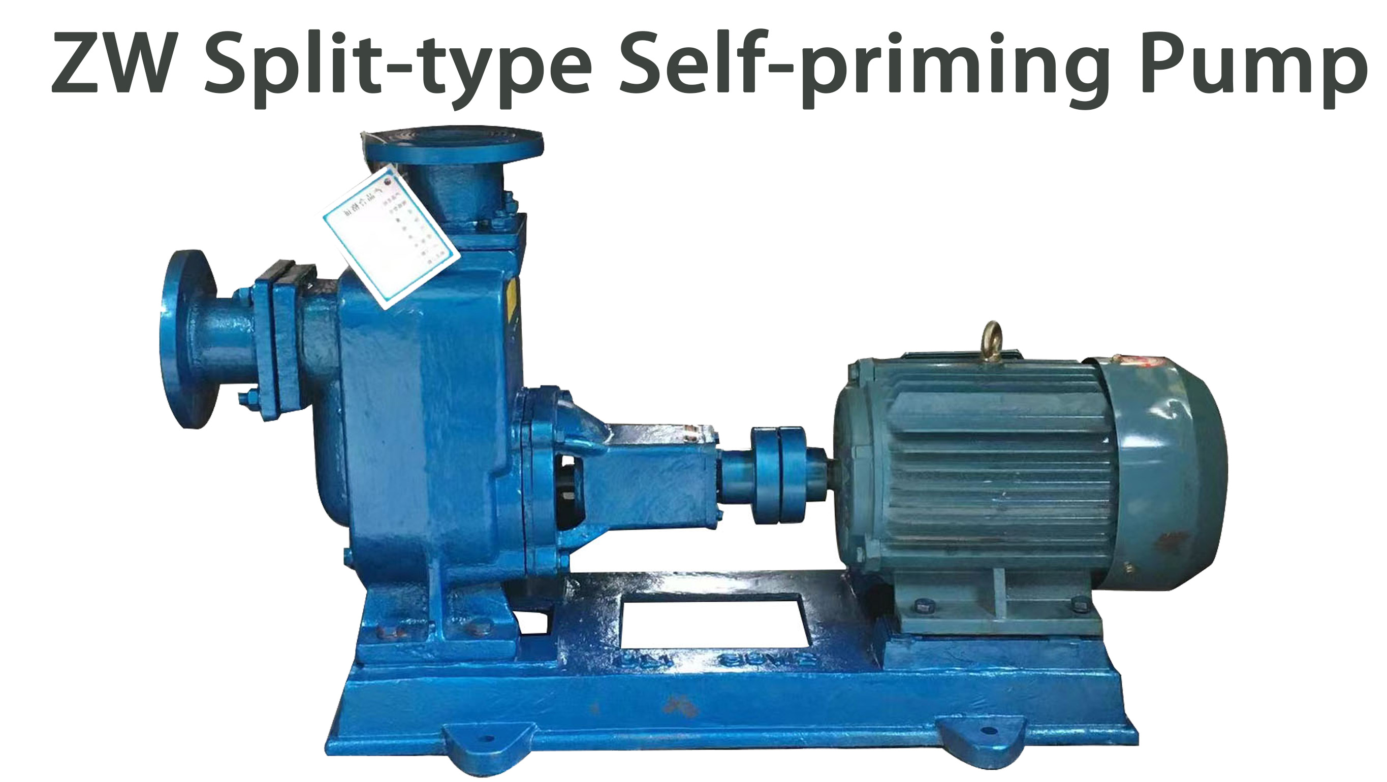 _copy_copy_copy_copy_copy_copy_copy_copy_copy_copy_copy_copy_copy_copy_copy_copy_copy_copy_copy_copy_copy_copy_copy_copy_copy_copy_copy_copy_copy_copy_copy_copy_copy	