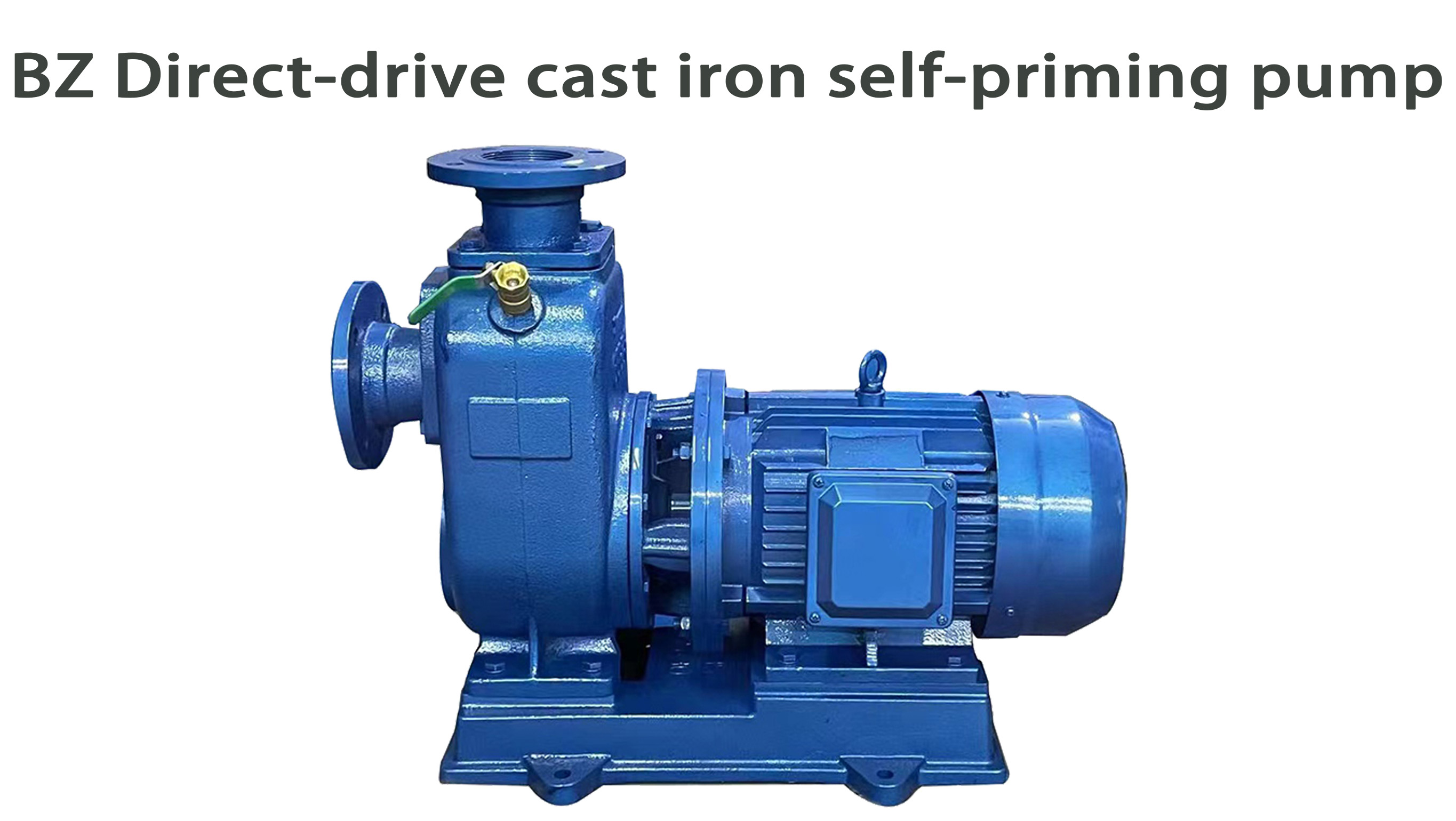 _copy_copy_copy_copy_copy_copy_copy_copy_copy_copy_copy_copy_copy_copy_copy_copy_copy_copy_copy_copy_copy_copy_copy_copy_copy_copy_copy_copy_copy_copy	