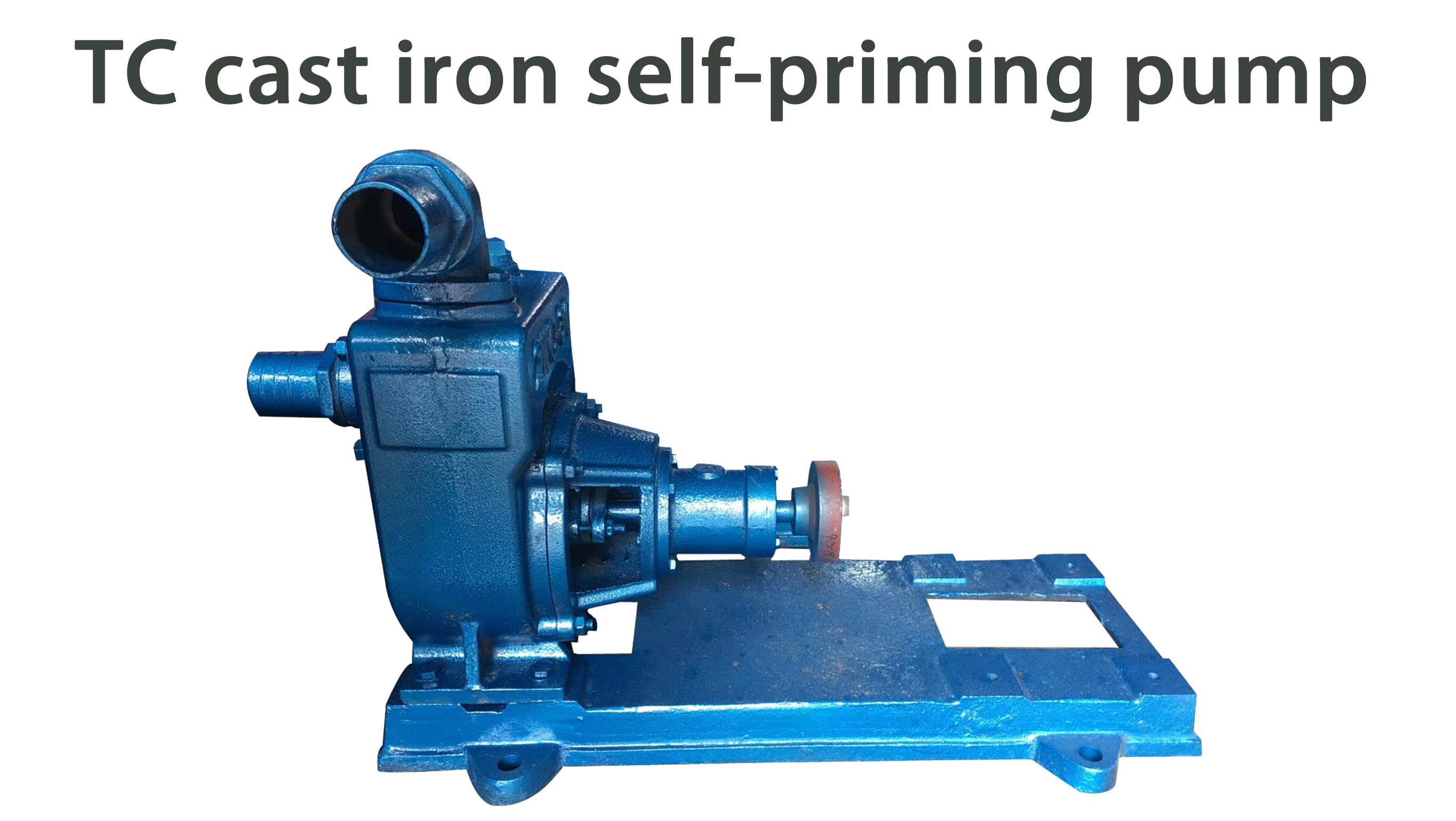 _copy_copy_copy_copy_copy_copy_copy_copy_copy_copy_copy_copy_copy_copy_copy_copy_copy_copy_copy_copy_copy_copy_copy_copy_copy_copy_copy_copy_copy_copy_copy	