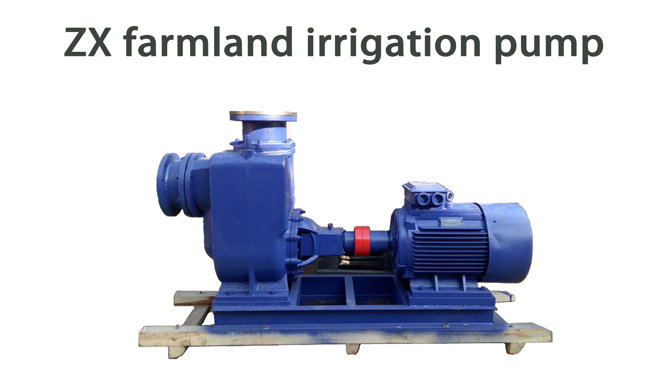 _copy_copy_copy_copy_copy_copy_copy_copy_copy_copy_copy_copy_copy_copy_copy_copy_copy_copy_copy_copy_copy_copy_copy_copy_copy_copy_copy_copy_copy_copy_copy_copy_copy_copy	