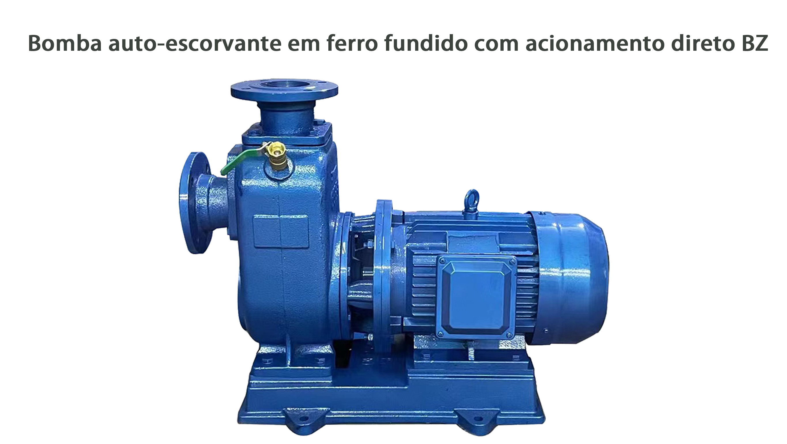 Bomba de agua autocebante de hierro fundido BZ