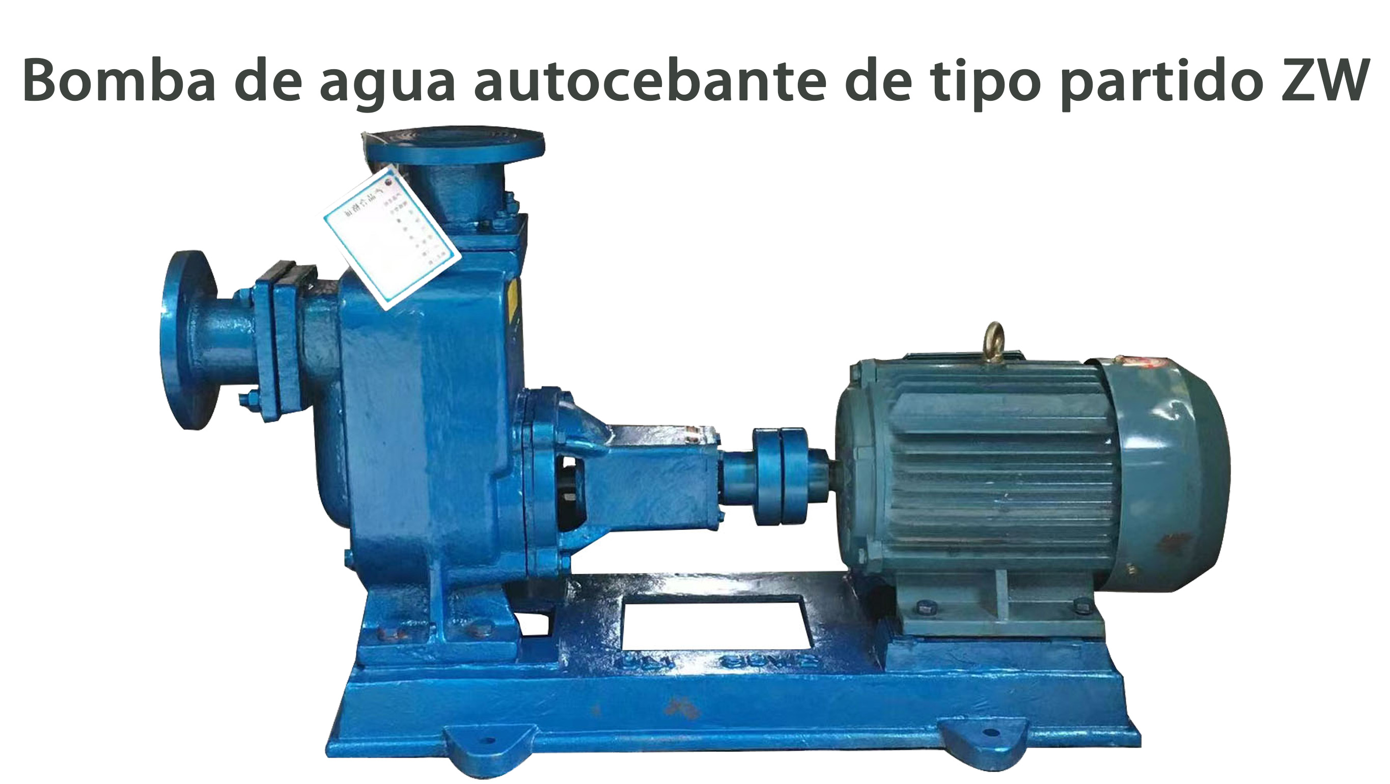 Bomba de agua autocebante de tipo partido ZW