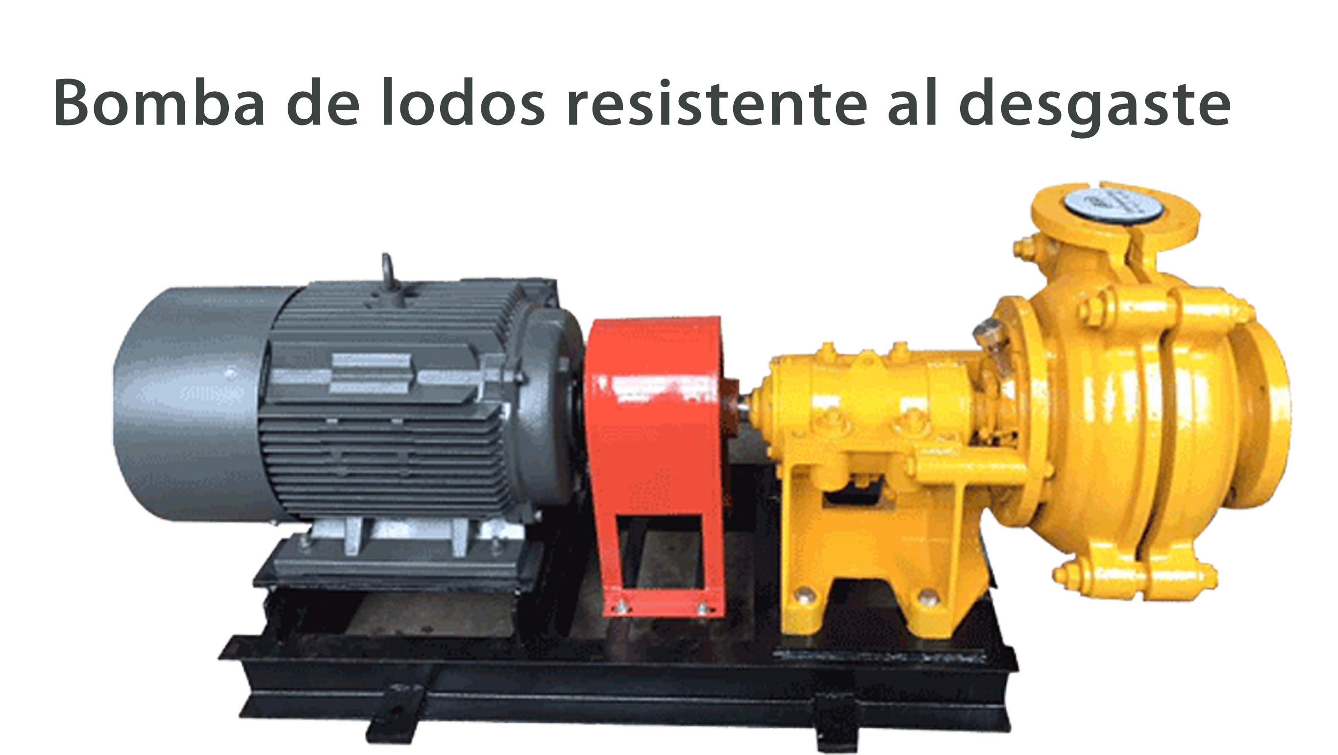 _copy_copy_copy_copy_copy_copy_copy_copy_copy_copy_copy_copy_copy_copy_copy	